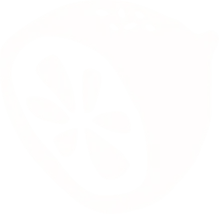 Illustration citron