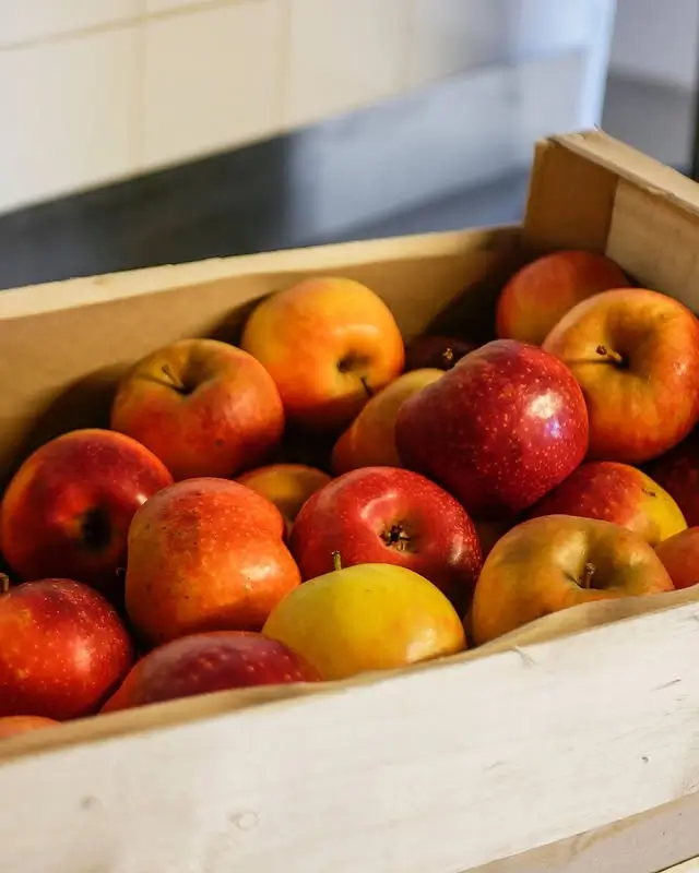 Pommes fraîches dans un panier
